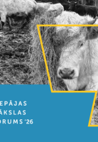 KASPARS PODNIEKS. IZSTĀDES “DIVRADZIS” ATKLĀŠANA attēls