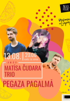 Matīsa Čudara trio Pegaza Pagalmā attēls