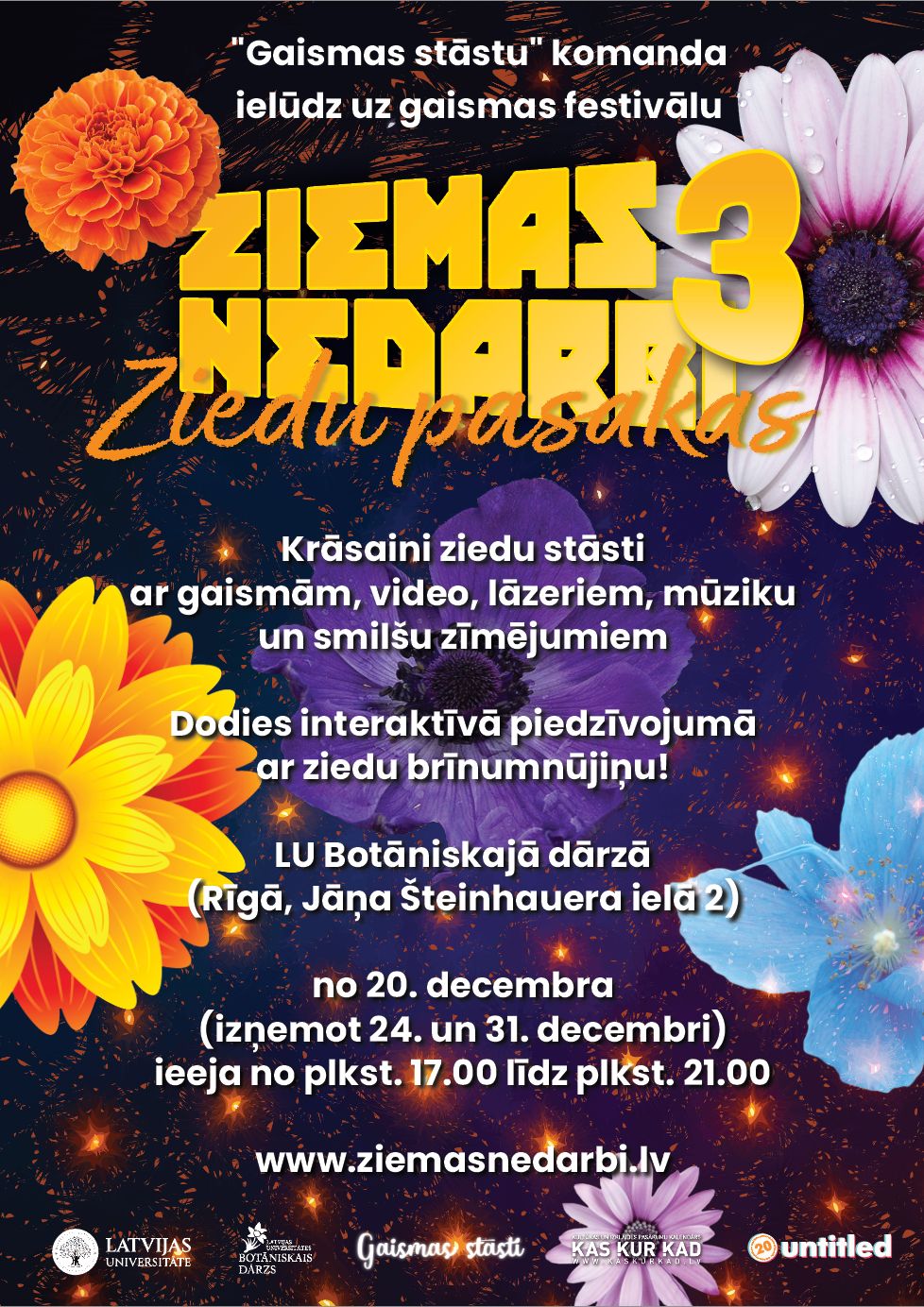 ZIEMAS NEDARBI 3. ZIEDU PASAKAS attēls