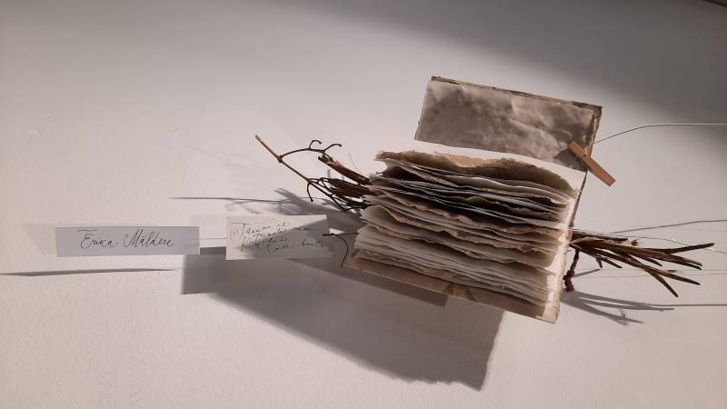 Mākslinieces Ērikas Mālderes oriģinālgrāmatu izstāde “Grāmatu stāsti” attēls